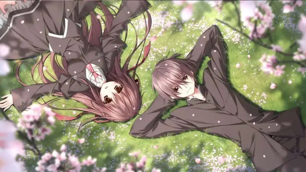 c27589cc3920260107170026