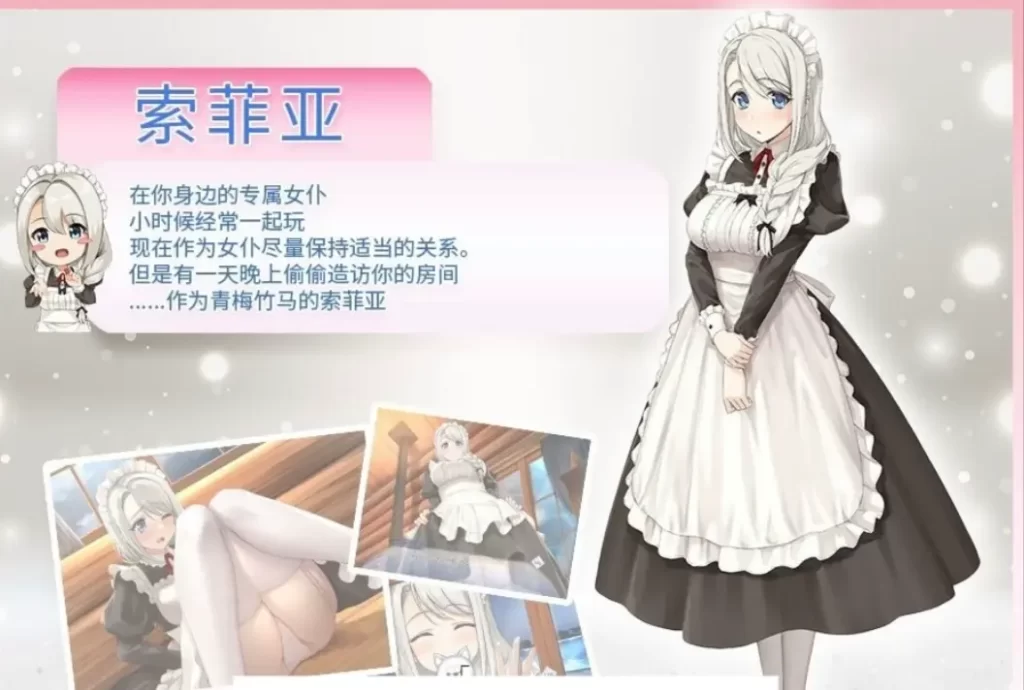 37d8988d6720260215234024